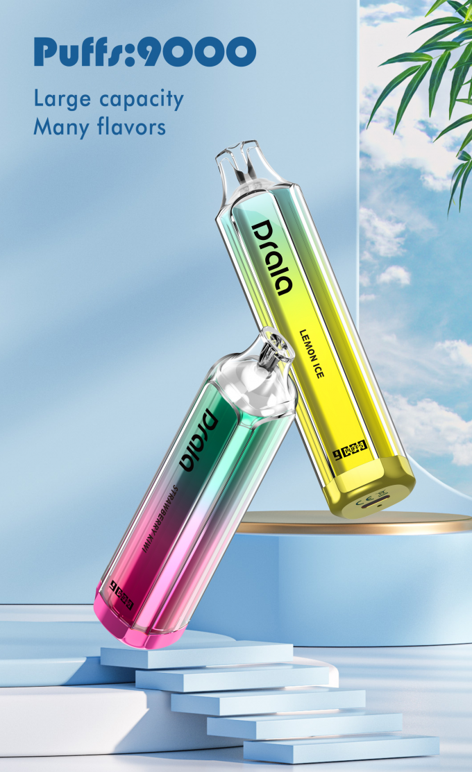 Van 9000 Rookwolken de Beschikbare Vape Navulbare Op smaak gebrachte E Sigaret van het de Peulapparaat 1