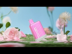 Drala 600/800 Pennen van Rookwolken de Beschikbare Vape Sigaret Vape van het Fruitaroma E